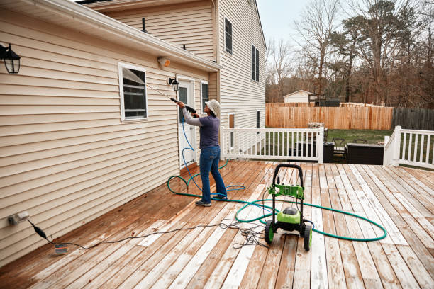 Best Roof Pressure Washing  in Bellevue, IL