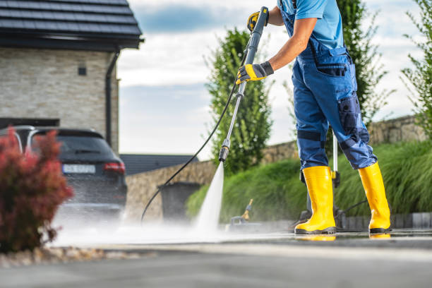 Best Pressure Washing Company Near Me  in Bellevue, IL