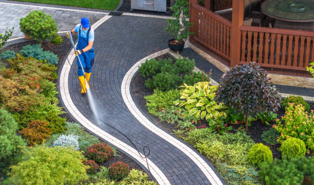 Best Pressure Washing Services Near Me  in Bellevue, IL